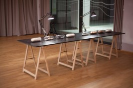 max-hornaecker-el-dorado-exhibition-tedxbolzano 