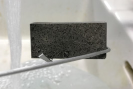 max-hornaecker-elmo-sample-1