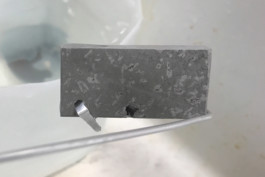 max-hornaecker-elmo-sample-2