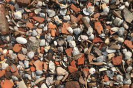 max-hornaecker-sedimentary-matter-london-mudlarking-2 