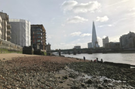 max-hornaecker-sedimentary-matter-london-mudlarking-4 